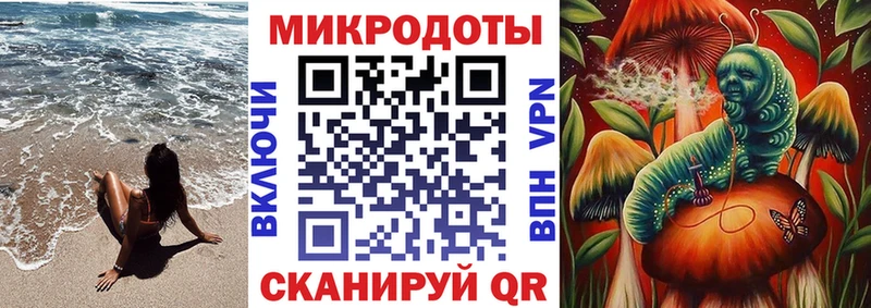 Галлюциногенные грибы Psilocybine cubensis  Купить где  Остров 